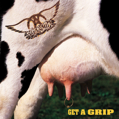 Get A Grip (Vinyl) - Aerosmith