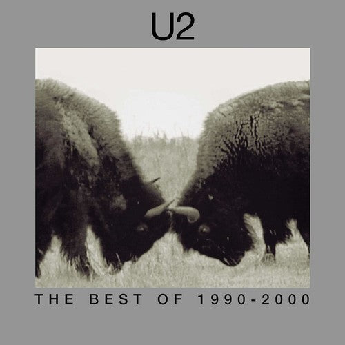 The Best Of 1990-2000 (Vinyl) - U2