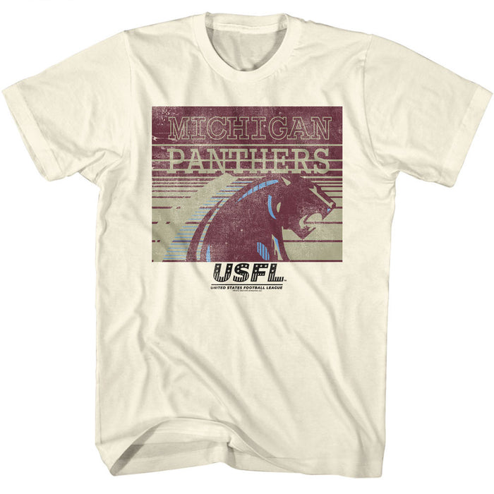 USFL - USFL Panthers Logo