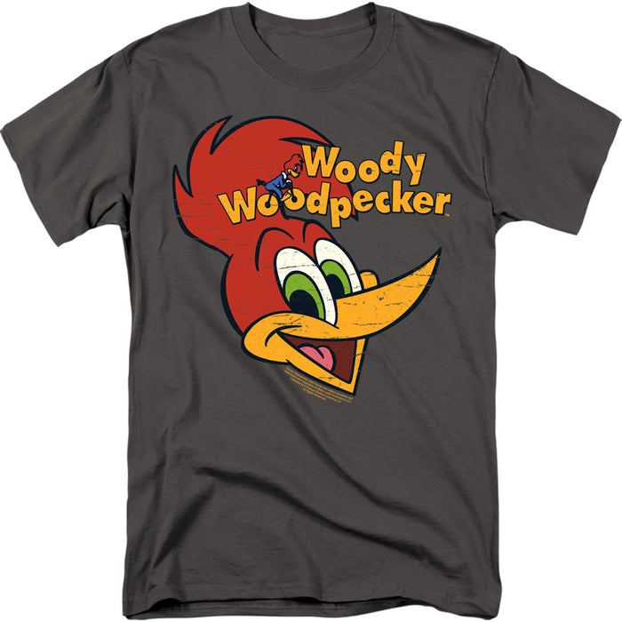 Woody Woodpecker - Retro Logo