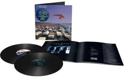 Momentary Lapse Of Reason (Vinyl) - Pink Floyd