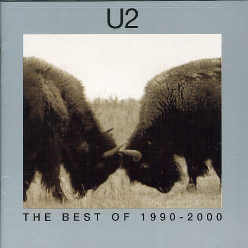The Best Of 1990-2000 (CD) - U2