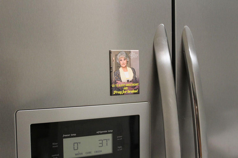 The Golden Girls Dorothy Pray For Brains 2.5 x 3.5 Inch Magnet product image 3 of 3