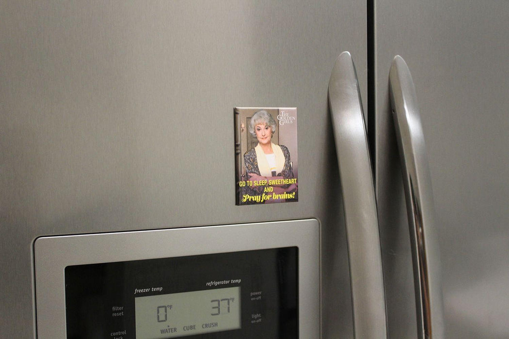 The Golden Girls Dorothy Pray For Brains 2.5 x 3.5 Inch Magnet