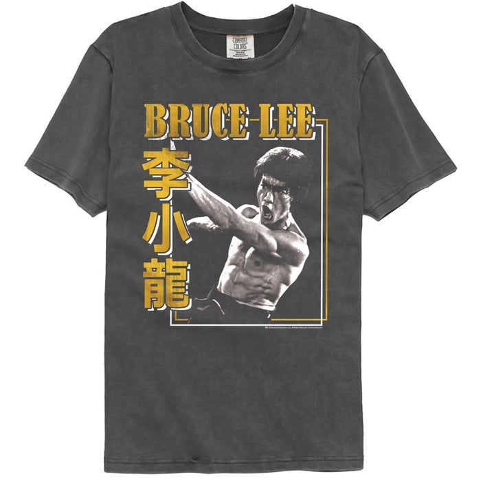 Bruce Lee - Perpendicular Punch