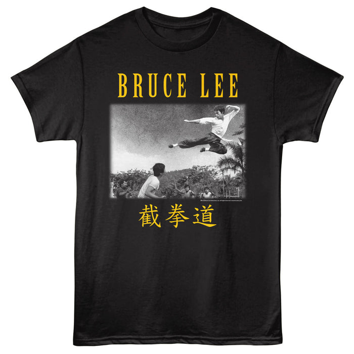 Bruce Lee - Flying Kick Landscape