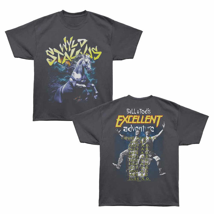 Bill & Ted's Excellent Adventure - Wyld Stallyns Tour (Front & Back) (Oversized)