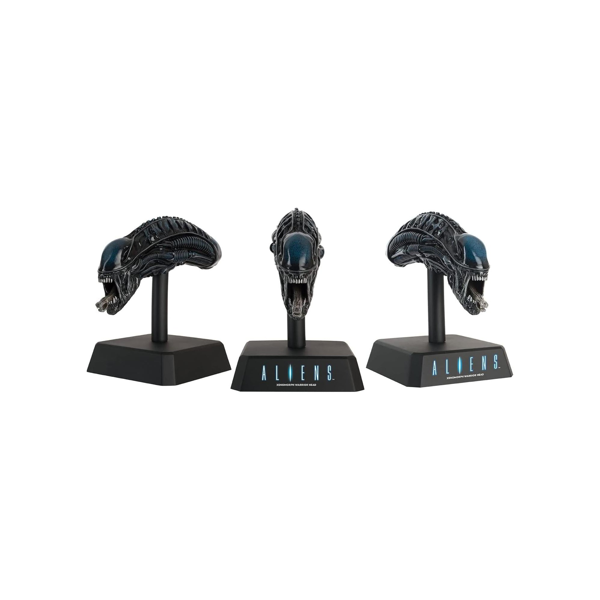 Eaglemoss Aliens Xenomorph Warrior Replica Head — MeTV Mall