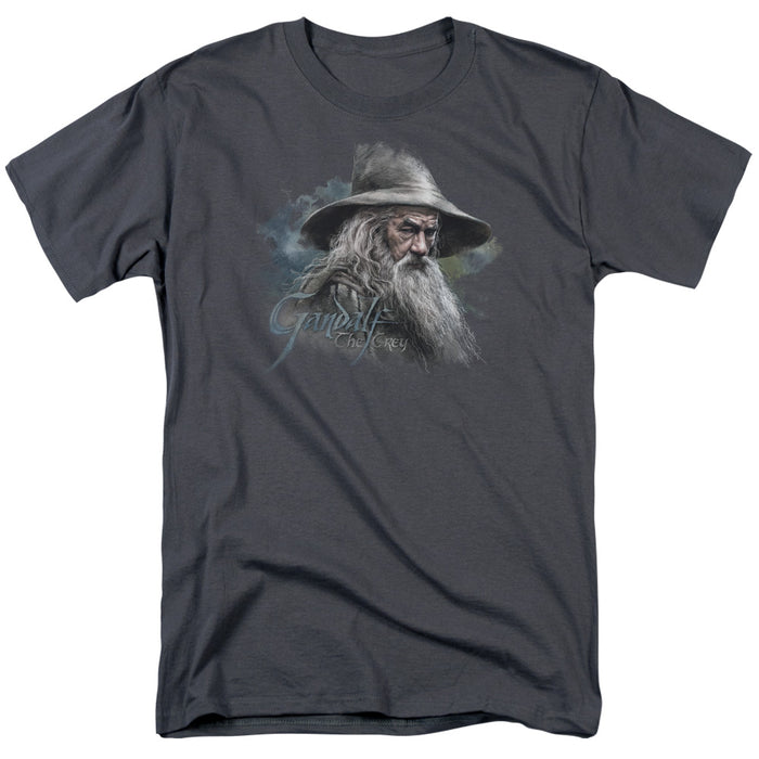 The Hobbit - Gandalf the Grey