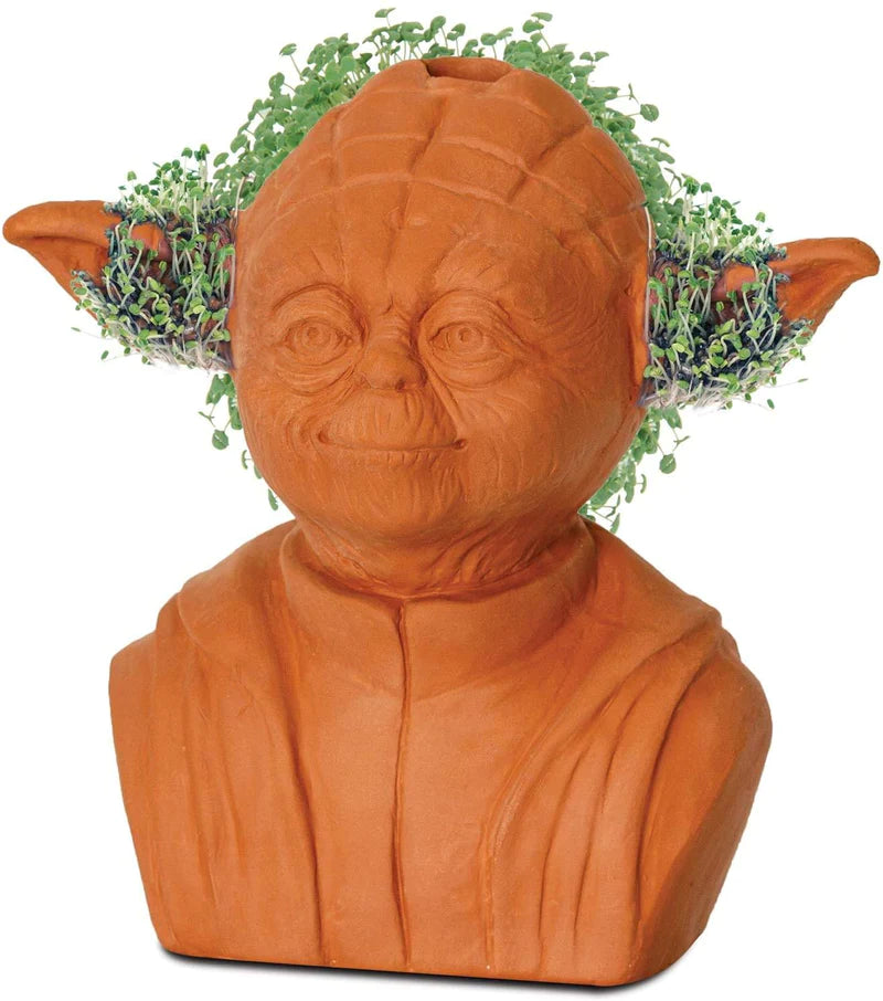 Star Wars - Yoda Chia Pet Decorative Planter