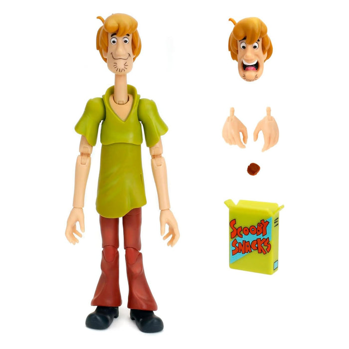 Scooby-Doo - 6 Inch Action Figure | Shaggy