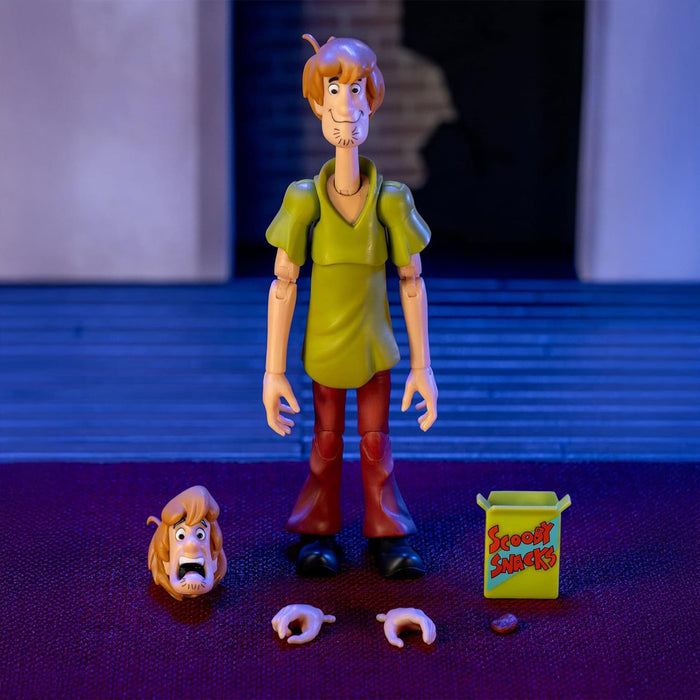 Scooby-Doo - 6 Inch Action Figure | Shaggy