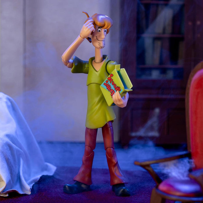 Scooby-Doo - 6 Inch Action Figure | Shaggy