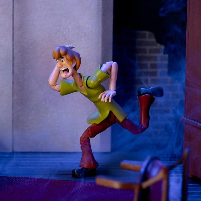 Scooby-Doo - 6 Inch Action Figure | Shaggy