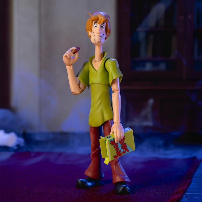 Scooby-Doo - 6 Inch Action Figure | Shaggy