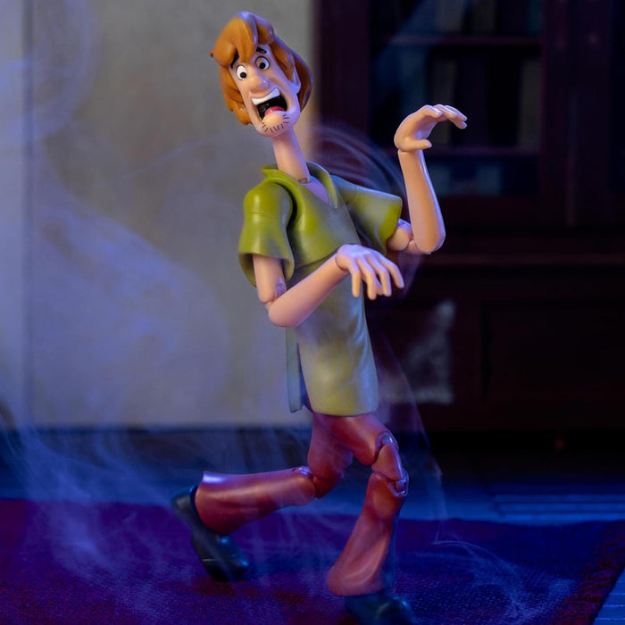 Scooby-Doo - 6 Inch Action Figure | Shaggy