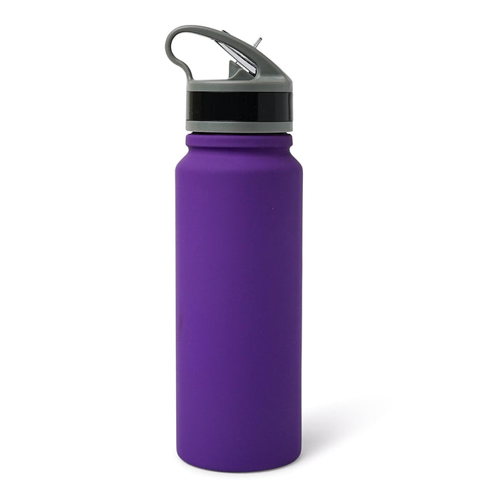 Minnesota Vikings Logo 25-Ounce Stainless Steel Flip-Top NFL Water Bottle