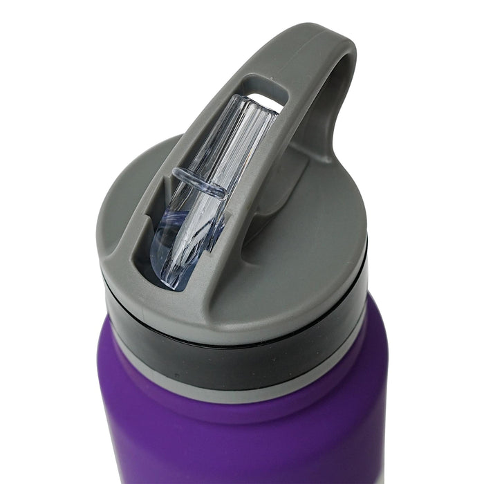 Minnesota Vikings Logo 25-Ounce Stainless Steel Flip-Top NFL Water Bottle