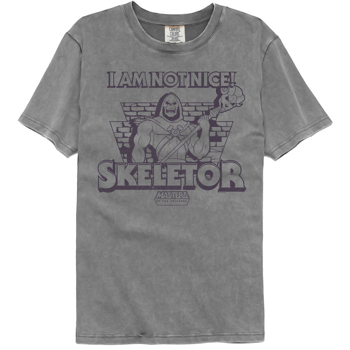 Masters of the Universe - Skeletor Not Nice (Comfort Colors)