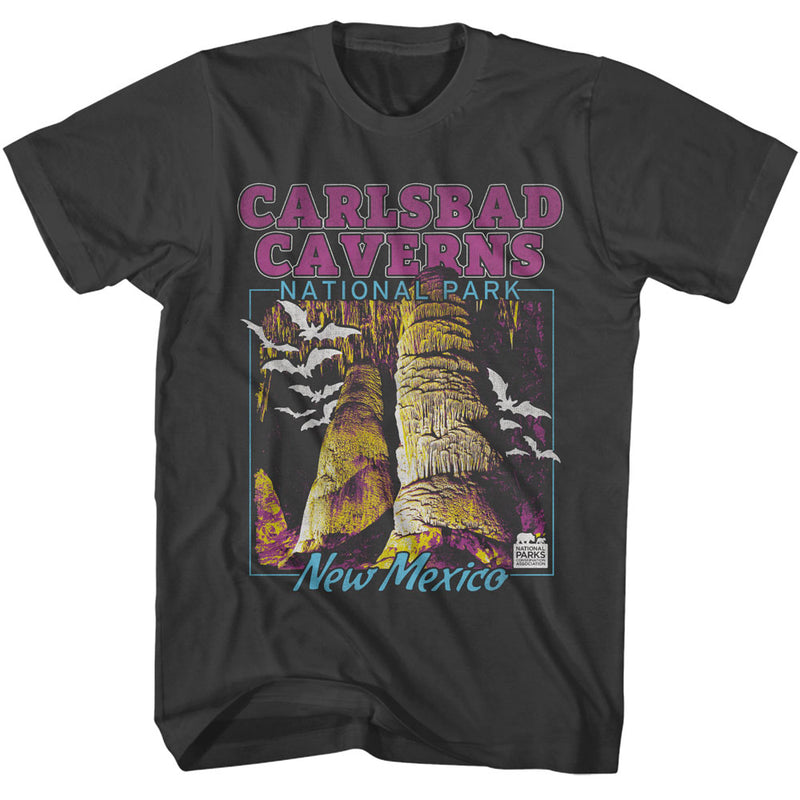 T-Shirt featuring design named National Parks - Carlsbad Caverns