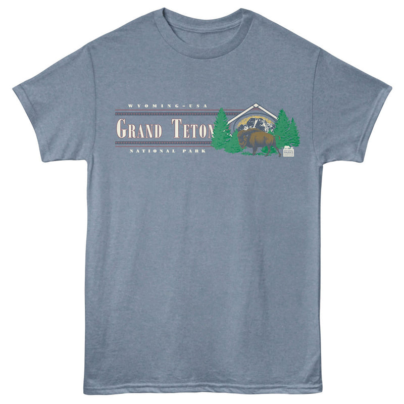 National Parks - Grand Teton Buffalo