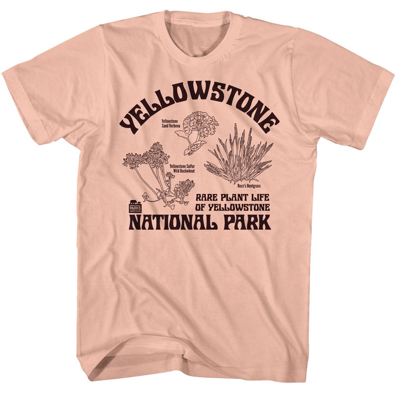 T-Shirt featuring design named National Parks - Rare Plants at Yellowstone