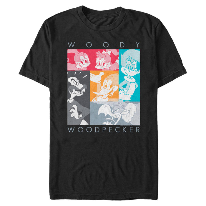 Woody Woodpecker - Group Boxes Color