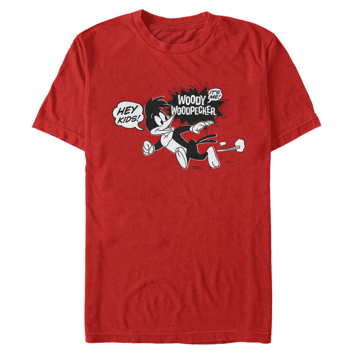Woody Woodpecker - It's Me