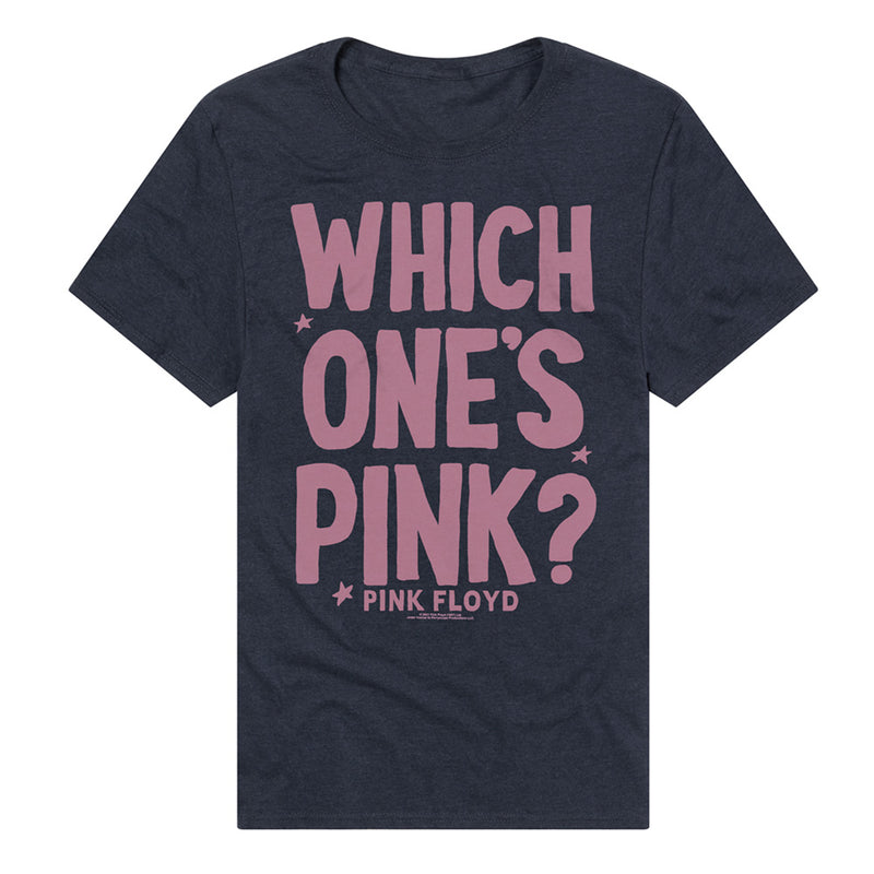 Pink Floyd - The Ultimate Question