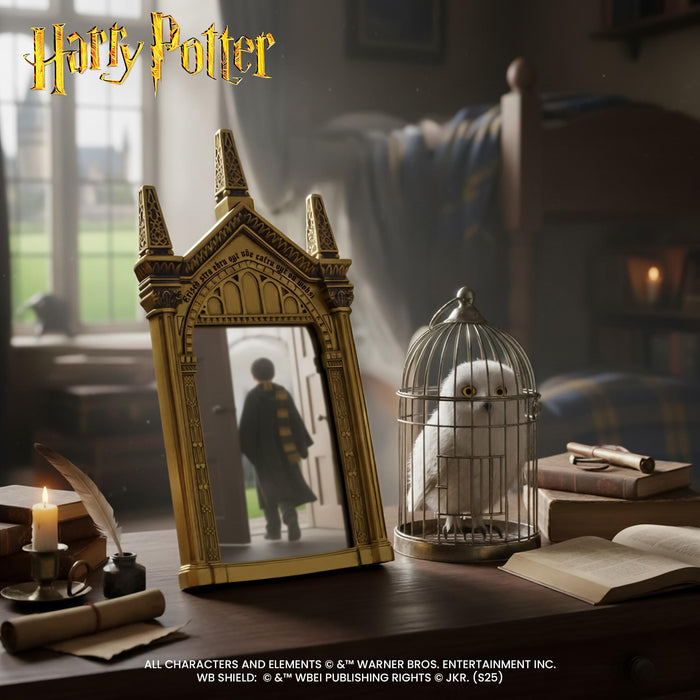Harry Potter - Mirror of Erised Wall Decor | 12 Inches Tall