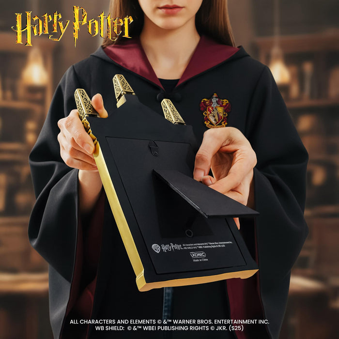 Harry Potter - Mirror of Erised Wall Decor | 12 Inches Tall