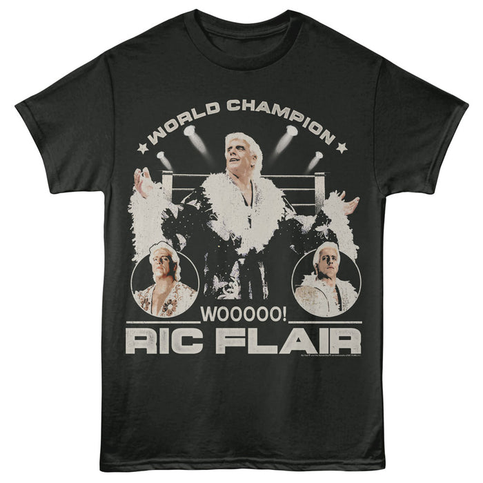 Ric Flair - Ring and Lights