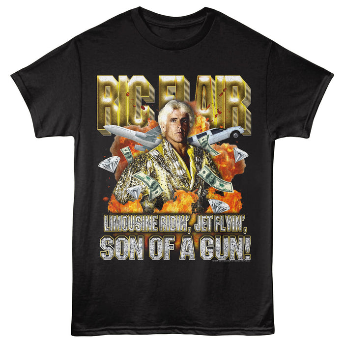 Ric Flair - Son of a Gun