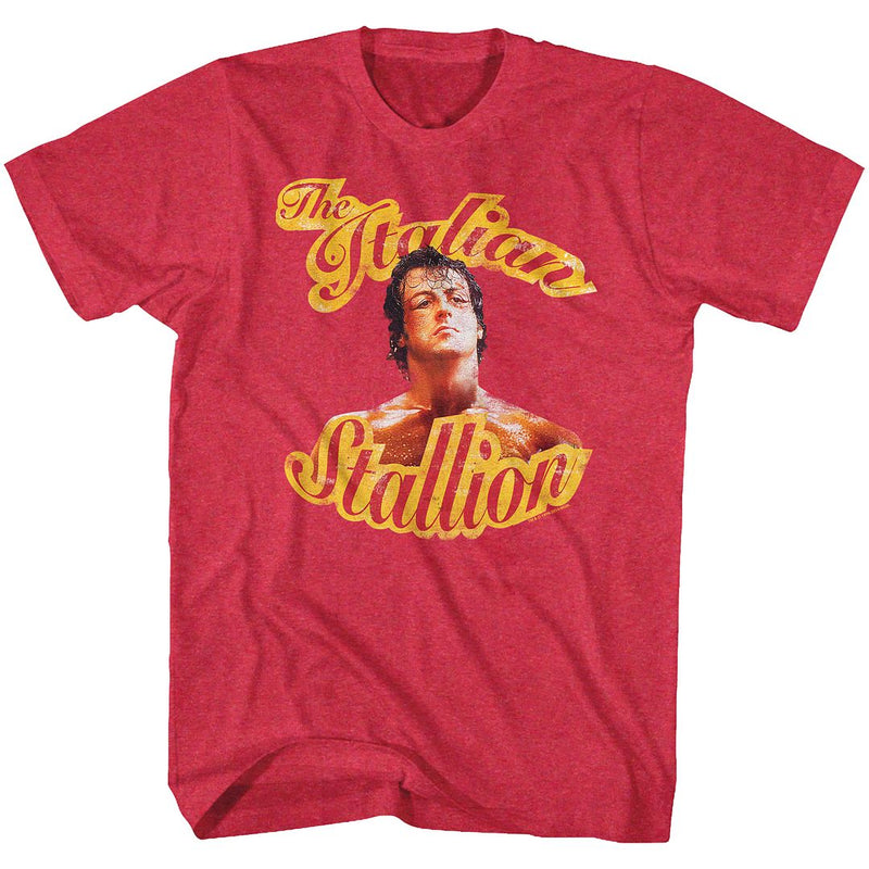 T-Shirt featuring design named Rocky - Beaten
