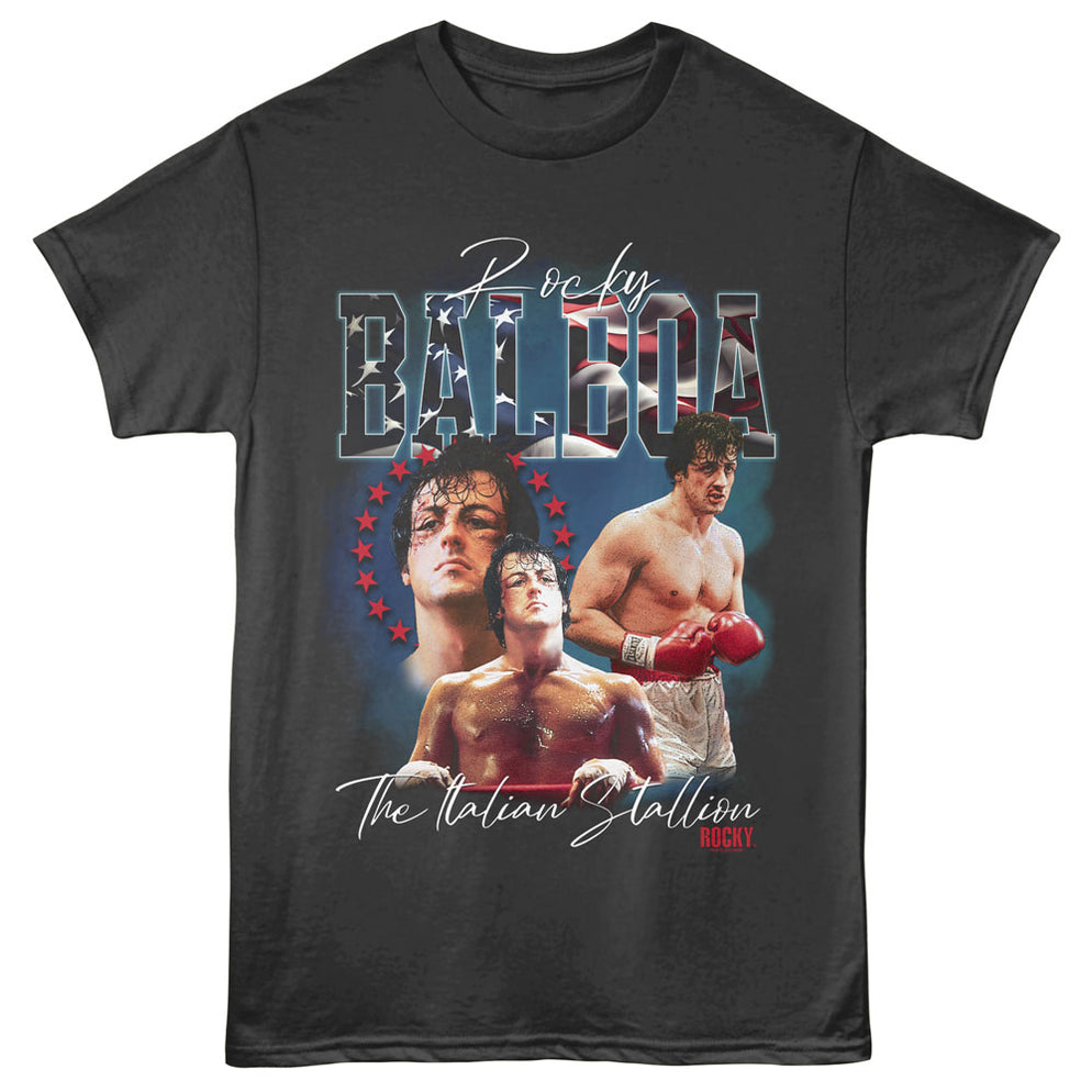 Rocky - The Stallion Cursive Font — MeTV Mall