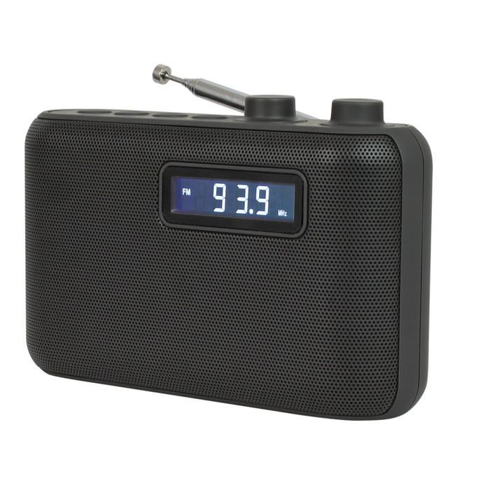 Jensen Portable AM/FM Digital Radio