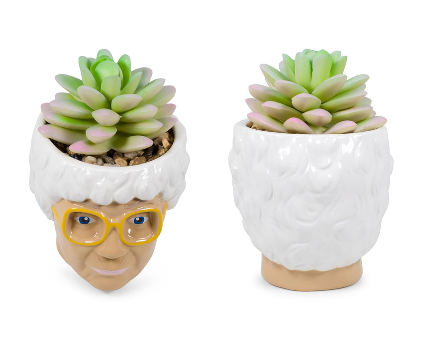 sophia succulent planter The Golden Girls Sophia Face Mini Ceramic Planter With Faux Succulent