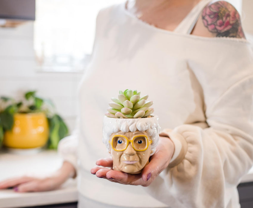 sophia succulent planter The Golden Girls Sophia Face Mini Ceramic Planter With Faux Succulent