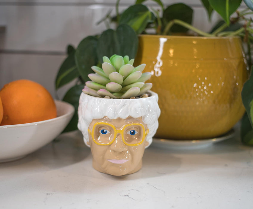 sophia succulent planter The Golden Girls Sophia Face Mini Ceramic Planter With Faux Succulent