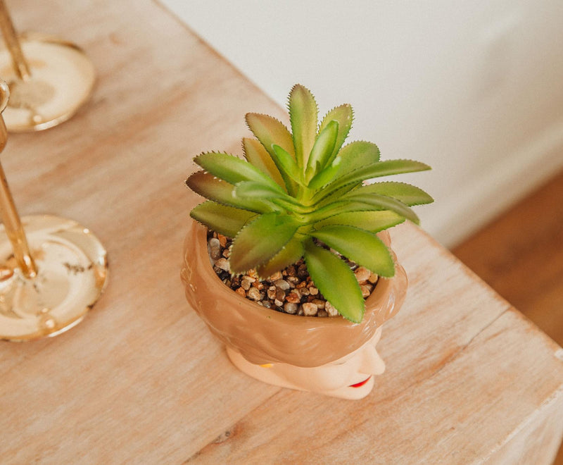 The Golden Girls Blanche 3-Inch Ceramic Mini Planter With Artificial Succulent product image 5 of 6