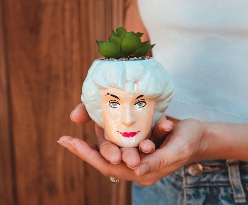 The Golden Girls Dorothy 3-Inch Ceramic Mini Planter With Artificial Succulent product image 3 of 6