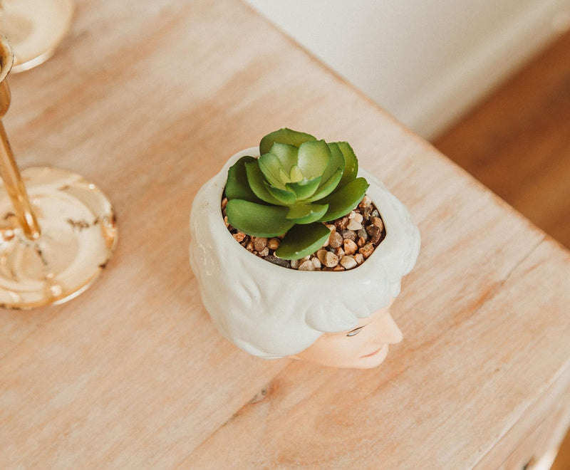 The Golden Girls Dorothy 3-Inch Ceramic Mini Planter With Artificial Succulent product image 5 of 6