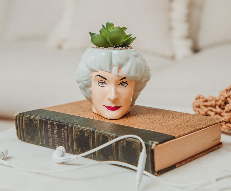 The Golden Girls Dorothy 3-Inch Ceramic Mini Planter With Artificial Succulent product image 6 of 6