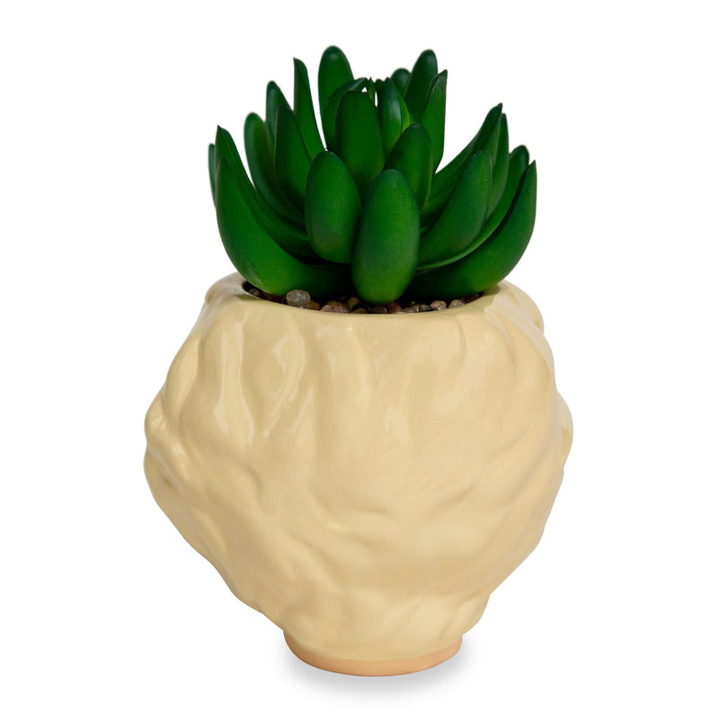 The Golden Girls Rose 3-Inch Ceramic Mini Planter With Artificial Succulent product image 3 of 9