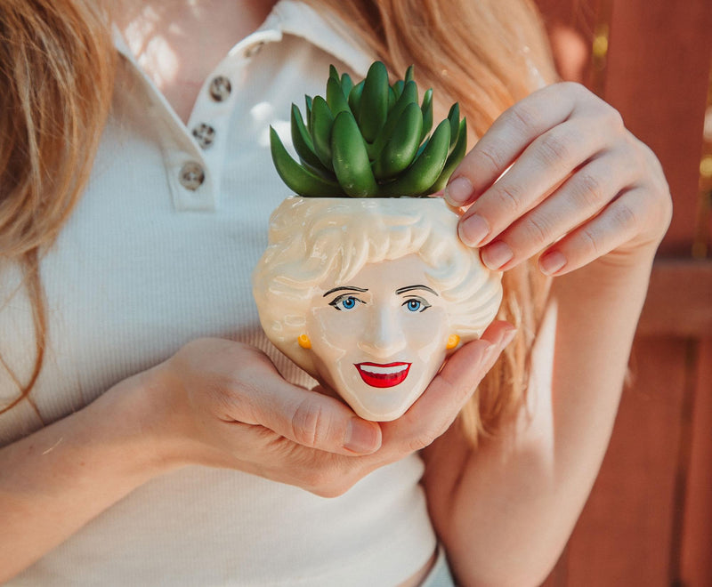 The Golden Girls Rose 3-Inch Ceramic Mini Planter With Artificial Succulent product image 4 of 9