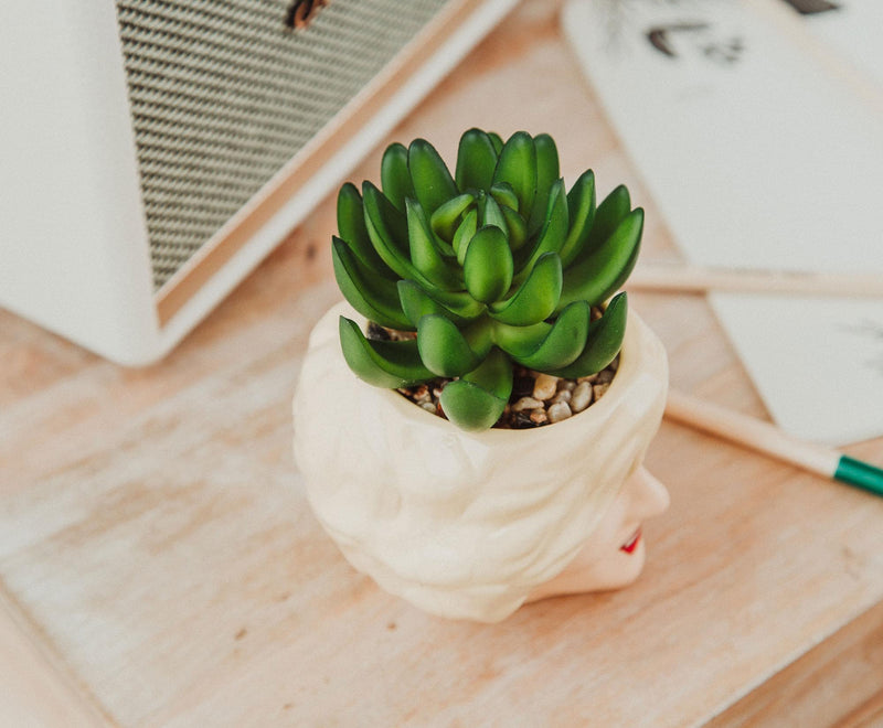 The Golden Girls Rose 3-Inch Ceramic Mini Planter With Artificial Succulent product image 5 of 9