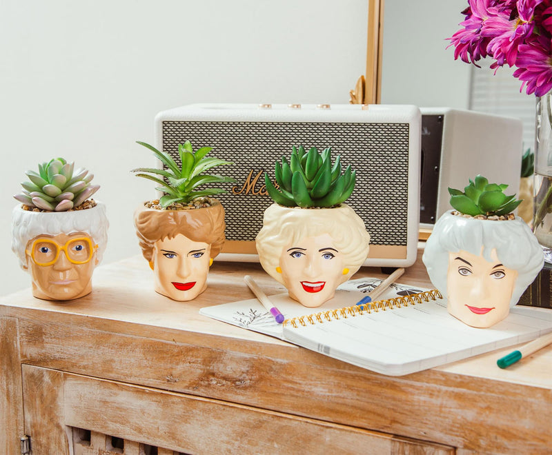 The Golden Girls Rose 3-Inch Ceramic Mini Planter With Artificial Succulent product image 7 of 9