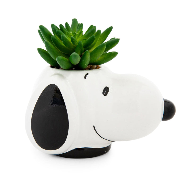 Peanuts - Snoopy Face Ceramic Mini Planter with Artificial Succulent product image 1 of 7