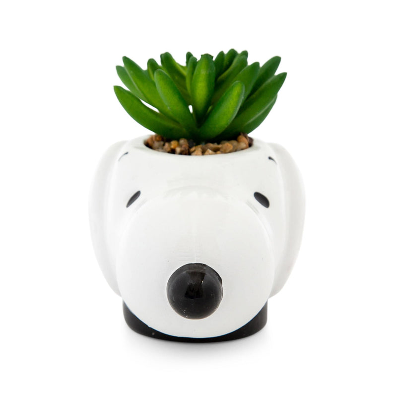 Peanuts - Snoopy Face Ceramic Mini Planter with Artificial Succulent product image 3 of 7