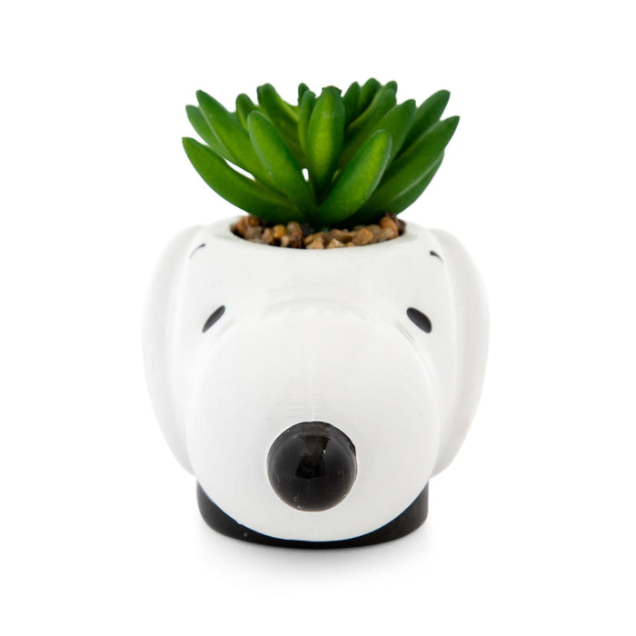 Peanuts - Snoopy Face Ceramic Mini Planter with Artificial Succulent
